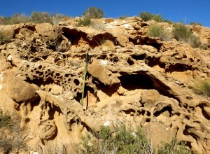 Tafonis cantos resedimentados de areniscas y bioturbaciones en la cara oeste de los Mamellones.  