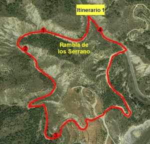 Itinerario 1. Rambla de los Serrano [Puerto del Garruchal]