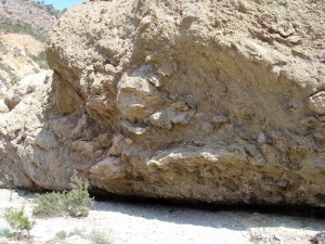 Yesos trisicos muy tectonizados, que representan la base del cabalgamiento del Subbtico interno sobre las margas y margocalizas cretcicas del Subbtico externo 