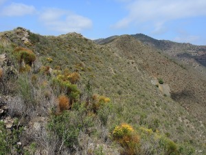 Loma de la Pinilla (Lomo de Bas)