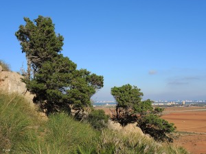 Los Belones (Cartagena)