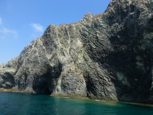 Los procesos tardos de alteracin por fluidos hidrotermales tambin se observan en el acantilado sur de la Isla Grosa, son los filones claros que atraviesan andesita