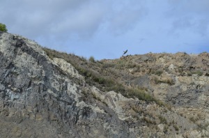 Las aves tambin habitan en este lugar de inters geolgico