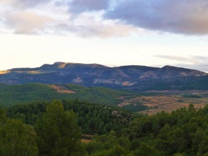 Atardecer en el valle de Benizar. Al fondo el pliegue de la Sierra de la Muela. Debajo el castillo y el calar de Benizar