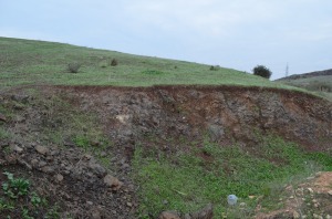 Los suelos que generan estas rocas baslticas son muy frtiles y oscuros. Cuando tiene un potente horizonte superficial se denominan Phaeozem