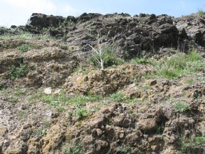 Los dos tipos de emisiones volcnicas. En la base piroclastos, sobre stos una potente colada volcnica