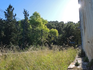 Vieja Casa Forestal El Sequn (Parque Regional El Valle)