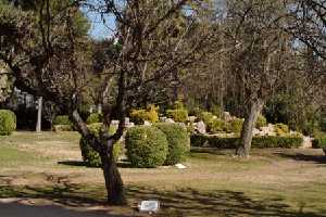 Jardn botnico de la Estacada