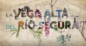 La vega alta del r�o segura