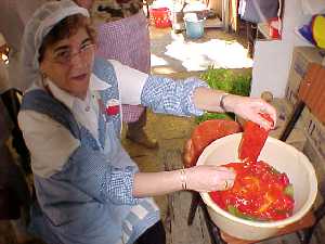 Barraca de la Pea Huertana Las Tenajas - Bando de la Huerta . Fiestas de Primavera 2004