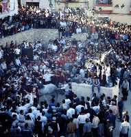 Concurso de Caballos a Pelo (Caballos del Vino - Fiestas de la Stma. y Vera Cruz - Caravaca de la Cruz) 