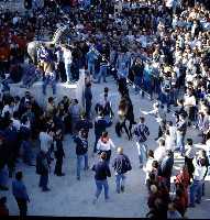 Concurso de Caballos a Pelo (Caballos del Vino - Fiestas de la Stma. y Vera Cruz - Caravaca de la Cruz) 