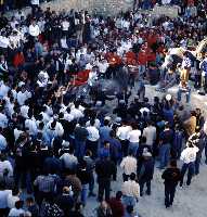 Concurso de Caballos a Pelo (Caballos del Vino - Fiestas de la Stma. y Vera Cruz - Caravaca de la Cruz) 