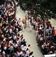 Fiestas de los Caballos del Vino (Caballos del Vino - Fiestas de la Stma. y Vera Cruz - Caravaca de la Cruz) 