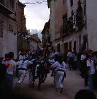 Fiestas de los Caballos del Vino (Caballos del Vino - Fiestas de la Stma. y Vera Cruz - Caravaca de la Cruz) 