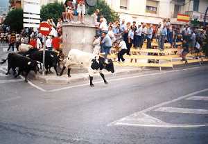 Fiestas del Stsmo. Cristo del Rayo- Encierros