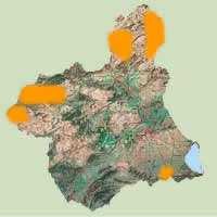 Dsitribucin del Sapillo Pintojo Meridional en Murcia