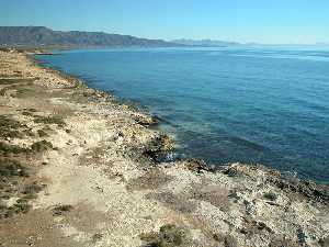 Playas de guilas