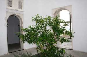  Patio de una casa con �rbol [Cieza_Museo Medina Siyasa]