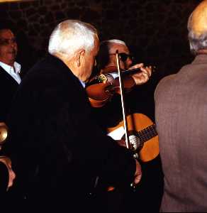 Violinista 