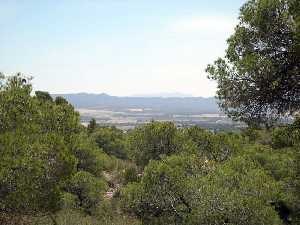 Vista desde el Yacimiento 