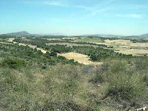 Vista desde el Yacimiento [Morra del Moro]