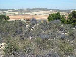 Yacimiento de Morra del Moro 