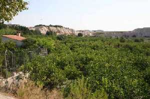 La Huerta de Albudeite 