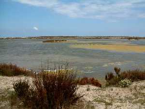 Parque Regional de las Salinas y Arenales de San Pedro del Pinatar