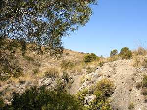 La Cueva del Arco