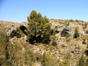 La Cueva del Arco[Cieza]