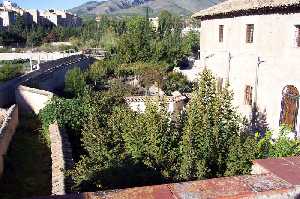 Huerto 