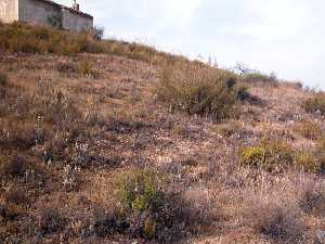 Ermita de Santa Brbara