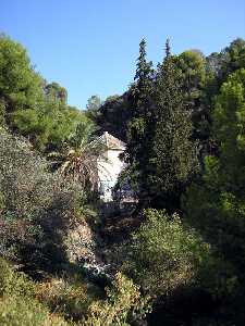 Ermita de San Antonio el Pobre[Murcia]