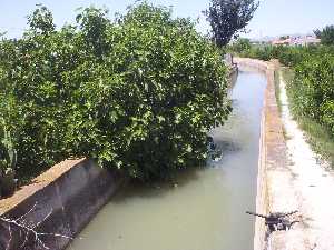 Acequia