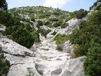 PARAJE_NATURAL_DE_MULA_10