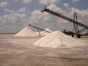 Salinas de Coterillo en San Pedro del Pinatar