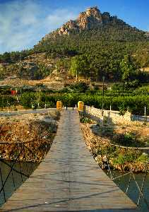 Puente de alambre 