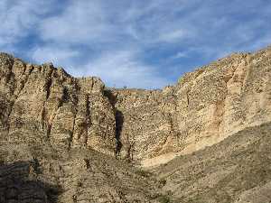 Pared del Solvente de Ojs