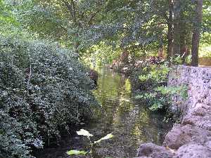 Paraje Fuentes del Marques