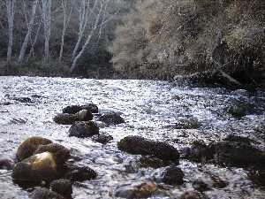 Rio Bosque Galera 