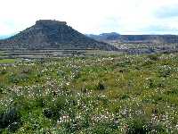 Cerro de la Almagra en Mula