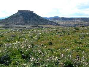 Cerro de la Almagra en Mula