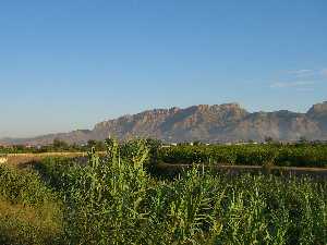 La Huerta de Beniel, a orillas del ro segura