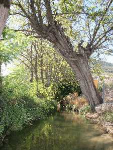 Acequia rabe de La Andelma.