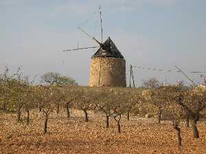 Molino Viejo de Las Palas (Fuente lamo)