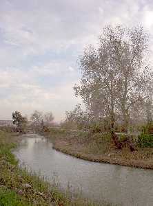 A la orilla del ro Segura