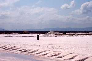 Trabajador en Las Salinas