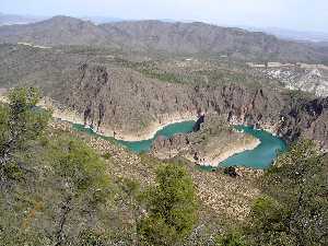 Pantano Cenajo