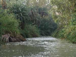 El ro Segura a su paso por Archena